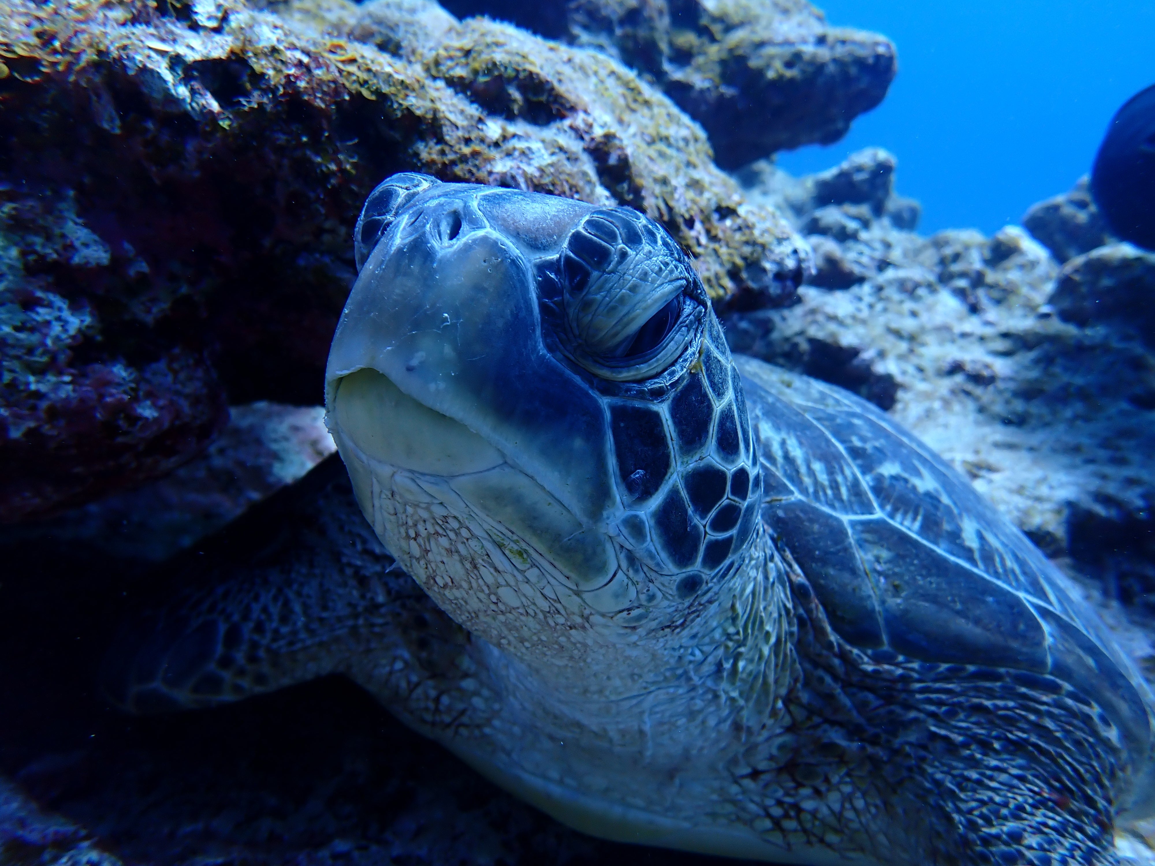 今、冬でしたよね🤔?