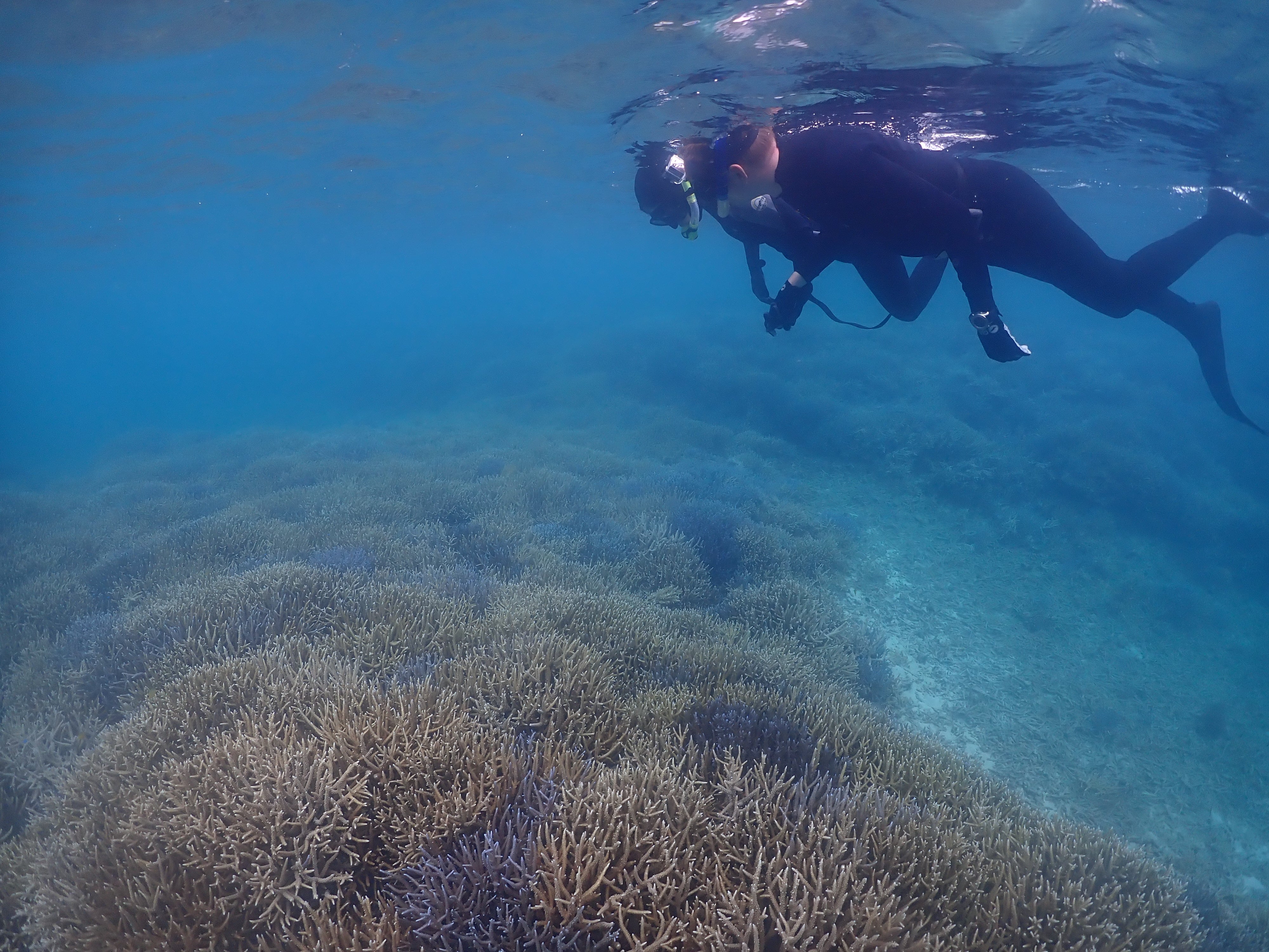 2日連続で書いちゃうもんねぇ!