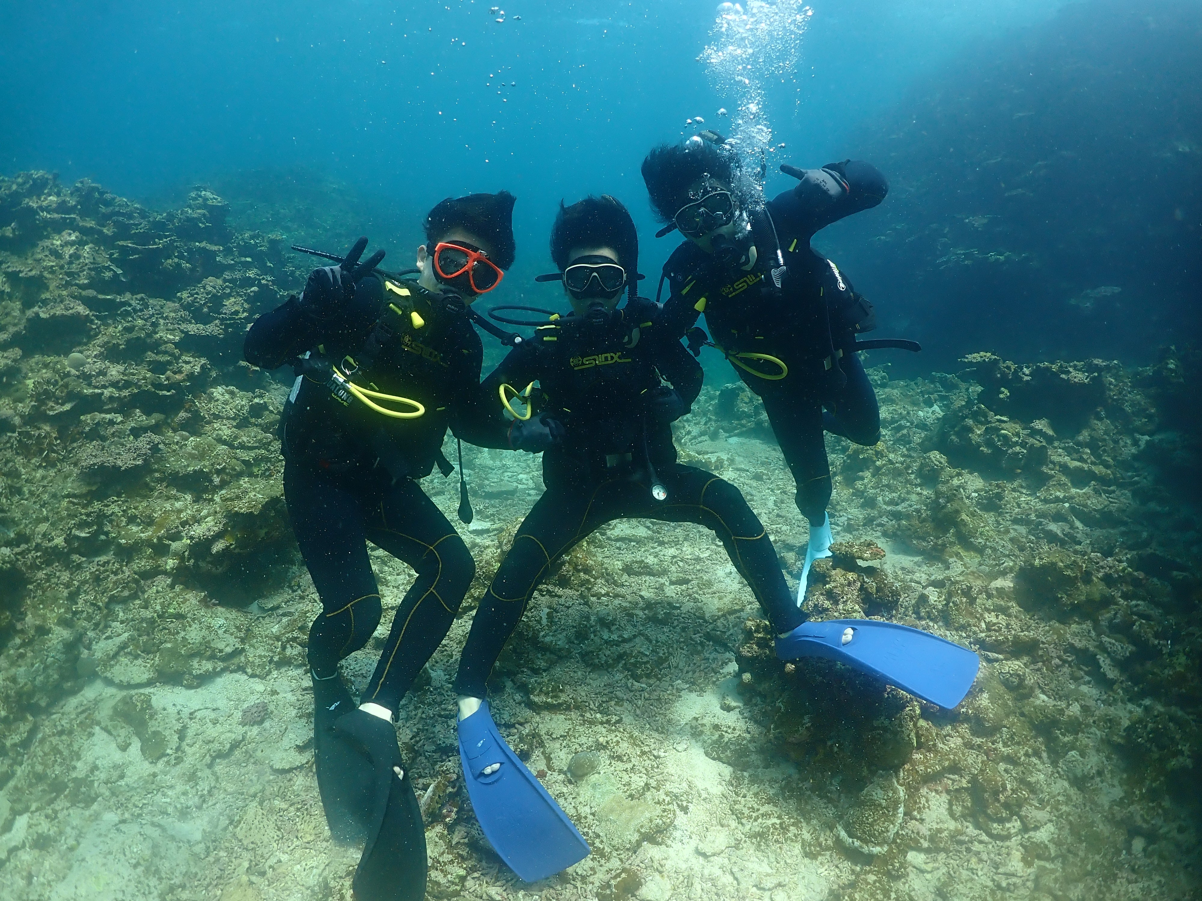 マンタに会いたい一心で。