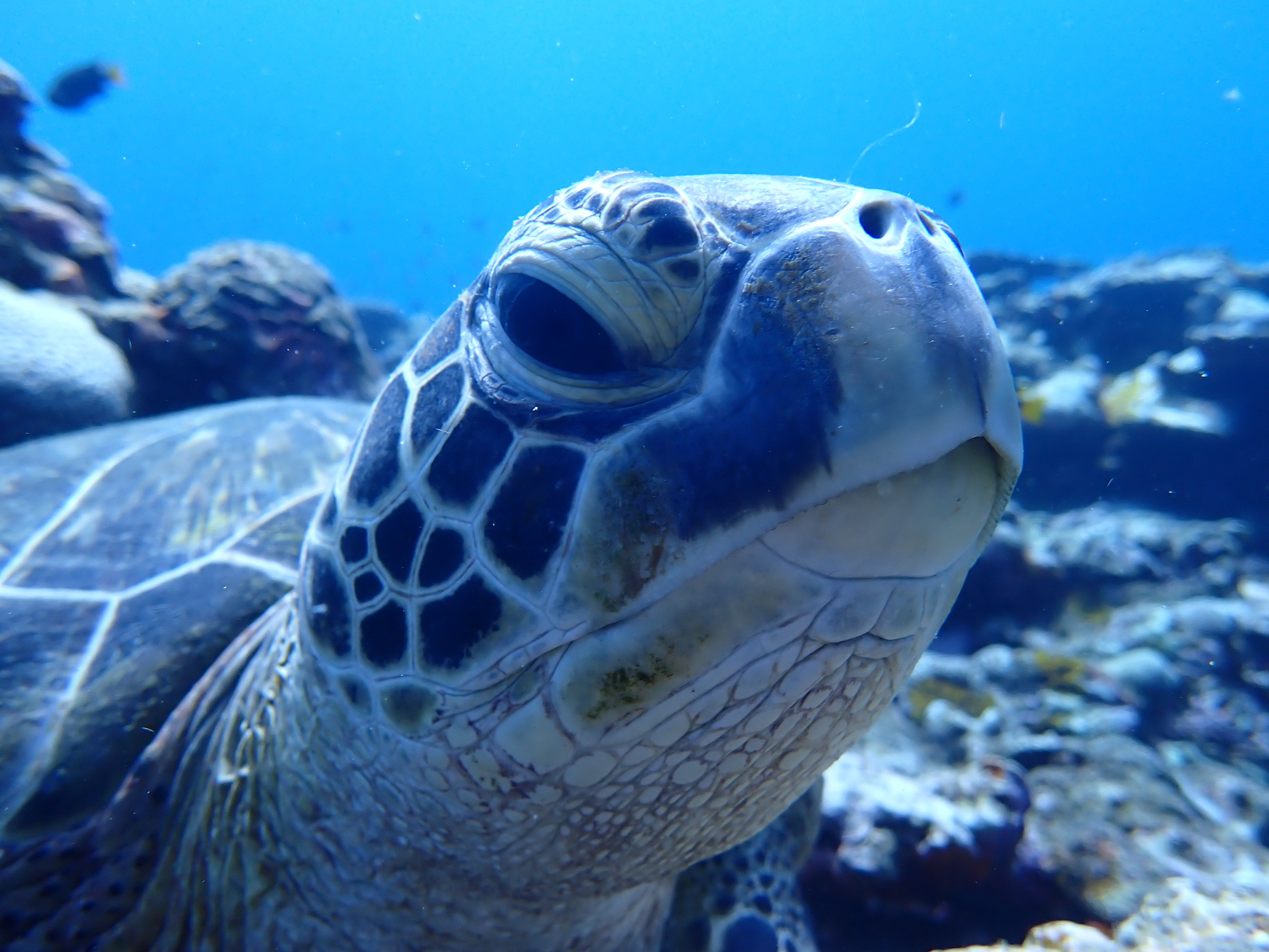 おかえり〜❤️‍🔥
