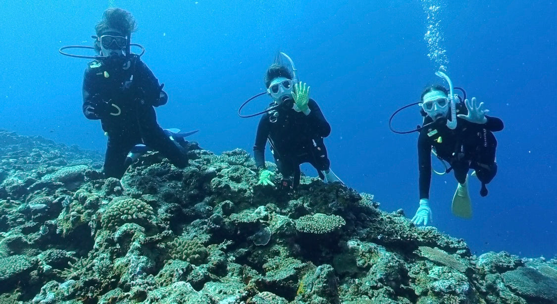 気付けば10月も半ば