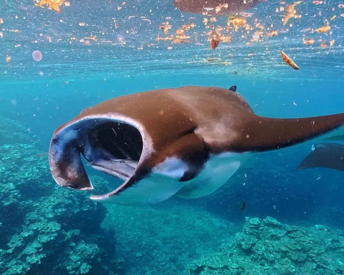 冬休みも終わって！