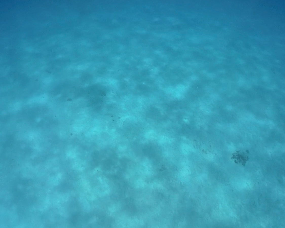 お陰様で2周年を迎えました🙇🏽‍♂️🙇🏽‍♀️