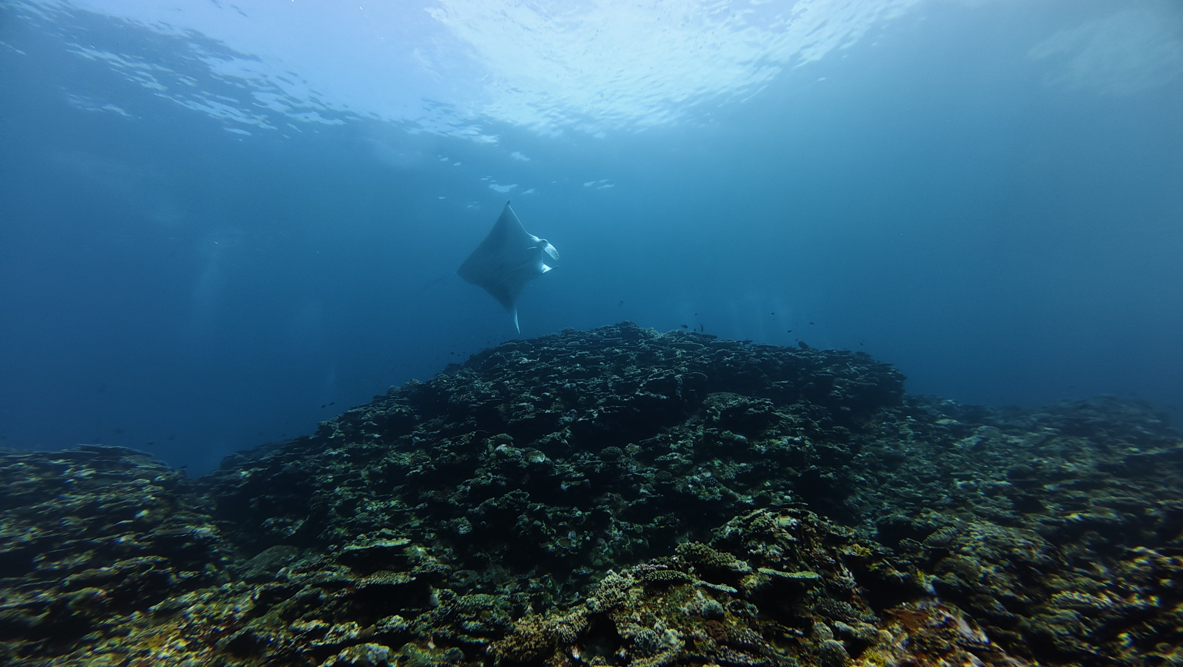 みなさんのおかげで…っす！